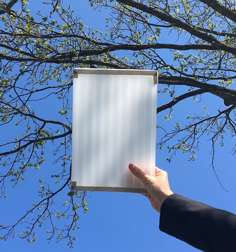 16 mm Polycarbonat Hohlkammerplatten X-Struktur in KLAR oder OPAL