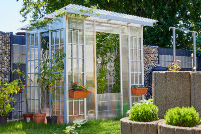 4,5 mm Polycarbonat Hohlkammerplatte in Klar